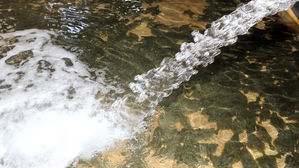 '국민 횟감' 광어 이중고&hellip;가격 하락에 출하량 감소까지