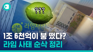 복잡한 라임 사태, 이것만 보면 싹 정리된다