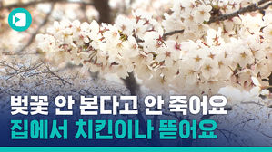 계속 오면 문 닫는다!&hellip;상춘객 끊이지 않자 지자체들이 내놓은 해결책은?