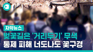 [자막뉴스] 벚꽃길은 거리두기 무색