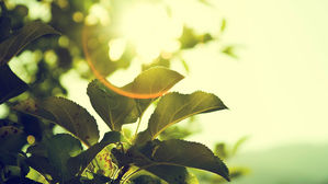 [인-잇] '코로나 트라우마'에 갇히지 않는 대한민국 되길