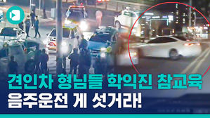 감히 내 앞에서 뺑소니를 쳐?! 뺑소니 음주운전 잡은 '도로 위 고수들'