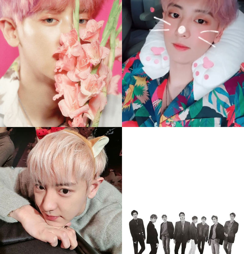 Chung Kyung-ho Floods EXO CHANYEOL's Instagram with Clingy Comments