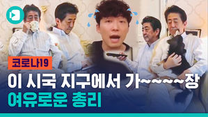 반려견 놀아주기, 차 한 잔, 책 한 권' 누리꾼 분노케 한 아베 SNS 근황