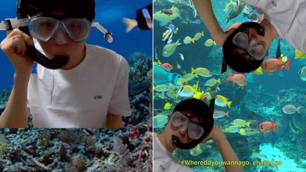 이 시국에 방방곡곡 여행 중인 연예인들?…어디 갈래 챌린지 '눈길'