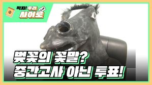 [찍자!] 대학생 기세현 "벚꽃의 꽃말, 중간고사→투표"