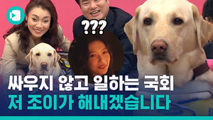 여야 합작 이뤄낸 시각장애인 안내견&hellip;시각장애인 안내견 조이 국회 본회의장 등원 임박