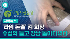[단독] '라임 돈줄' 김 회장, 수십억 들고 강남 돌아다녔다