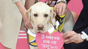 [인-잇] 국회 누비는 안내견, 세상이 바뀌긴 했네요