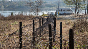 멧돼지 폐사체 아프리카돼지열병 양성 검출률 연천 17.5%