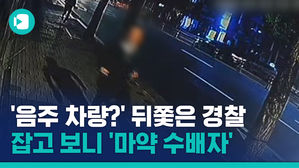수정 _[단독] '음주 차량?' 뒤쫓은 경찰…잡고 보니 '마약 수배자