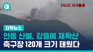 [자막뉴스] 안동 산불 재확산