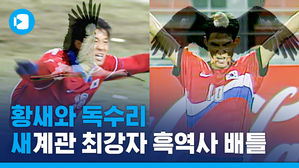 '홈런볼' 흑역사 소환한 욘쓰에 "너는 2002년에 더 심했어"라고 응수한 황새 감독