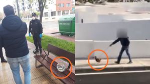 [Pick] "금붕어랑 나왔어요"&hellip;스페인 '반려동물 산책 허가'에 등장한 꼼수