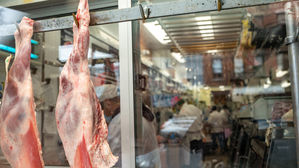 미, 돼지 대량살처분 위기&hellip;가공공장 코로나19 폐쇄에 판로 막혀