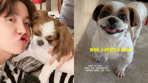 [SBS Star] BTS J-HOPE's Family Dog Never Smiles with J-HOPE?