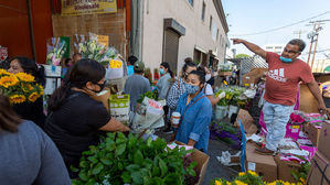 미국, 주말까지 47개 주 봉쇄령 완화…여론은 조기 재가동에 우려