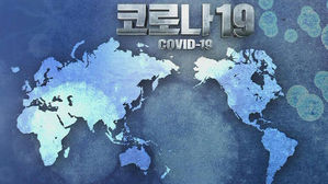 미 마이애미 시장 "코로나19 급확산 브라질 항공편 중단 검토"