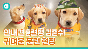 누군가의 두 눈이 되기 위해 준비하는 안내견 준비생입니다!