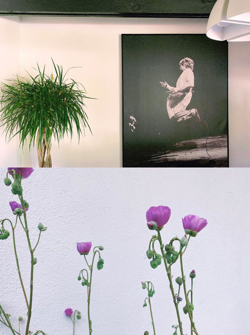 Fans Find BTS' Albums Displayed in Halsey's Room