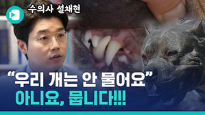 우리 개는 안 물어요?? 당신 개의 진실을 알려드림 (feat. 설채현 수의사 & 박주연 변호사)