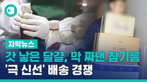 [자막뉴스]갓 낳은 달걀 · 막 짜낸 참기름…'극 신선' 배송 경쟁