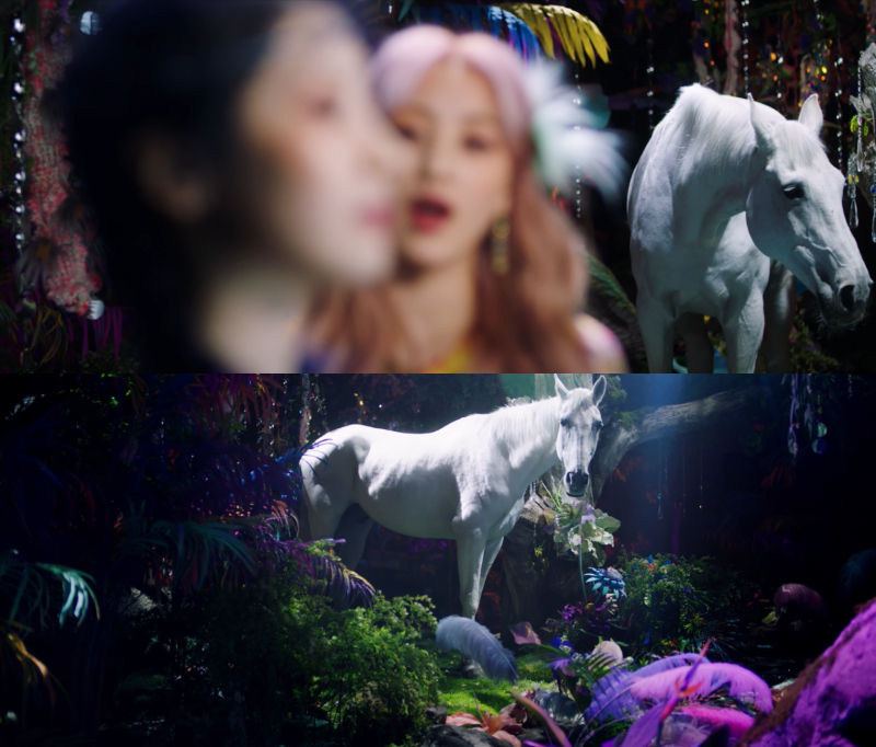 White Horse in TWICE's New MV Reveals to Be Lee Minho's Horse in 'The King'