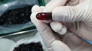 크릴오일 제품 12종 '부적합'&hellip;항산화제 등 초과 검출