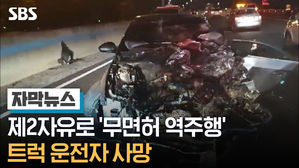 [자막뉴스]제2자유로 역주행