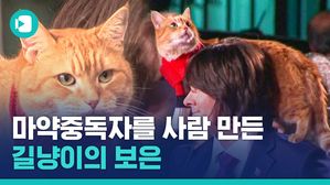 사람은 무엇으로 사는가? 마약 중독자 주인을 구원한 어느 고양이의 '묘생'