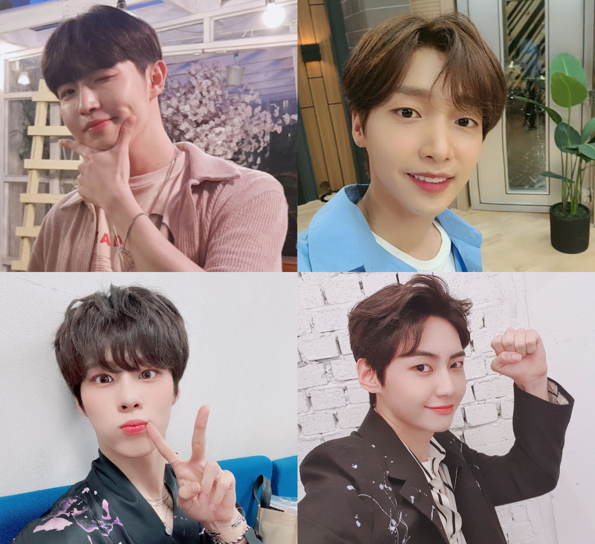 Kim Jae Hwan·Jeong Sewoon·Kim Woo Seok·Lee Jin Hyuk to Join a New Variety Show Together