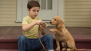 [인-잇] TV 속 귀여운 동물들, 울고 있을지도 모른다