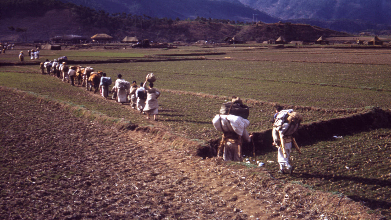1951년 2월쯤 경북 북부지방 한 논밭을 지나는 피란민 가족