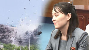 김여정, 남북연락사무소 폭파 혐의로 고발당해