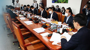 '1분에 200억 증액'…번갯불 추경 심사, 책임은 누가?