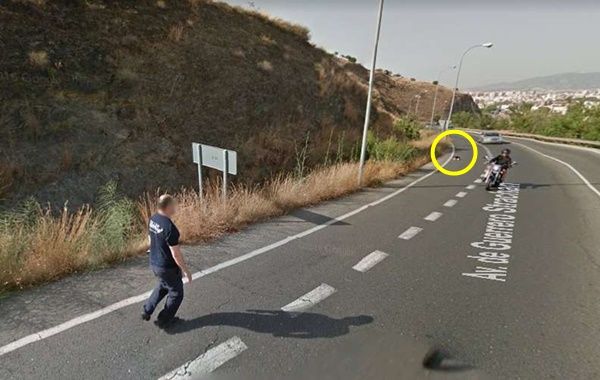 거리뷰에 포착된 선행…도로 위 고양이 구해