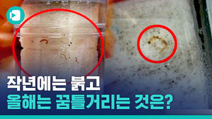 '붉은 물'에 이어 '벌레'까지&hellip;인천 수돗물 잔혹사