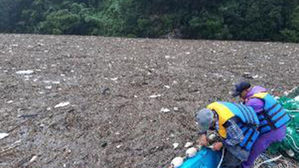 집중호우로 전국 12개 댐에 부유쓰레기 1만7천t 유입&hellip;"신속처리"