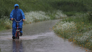 전국 강풍&middot;폭우에 5명 사망&middot;4명 부상&hellip;이재민 217명