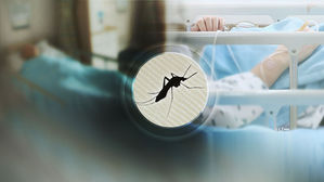 질병관리본부, 일본뇌염 경보 발령&hellip;예방접종 받아야