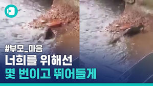 침수된 쥐구멍에 목숨 걸고 들어간 어느 쥐의 이야기&hellip;'어미 쥐는 위대했다'
