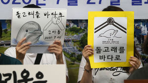 '돌고래를 바다로'