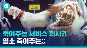 파키스탄 흥행 스타트업 '死주는 서비스(?)' 클라쓰