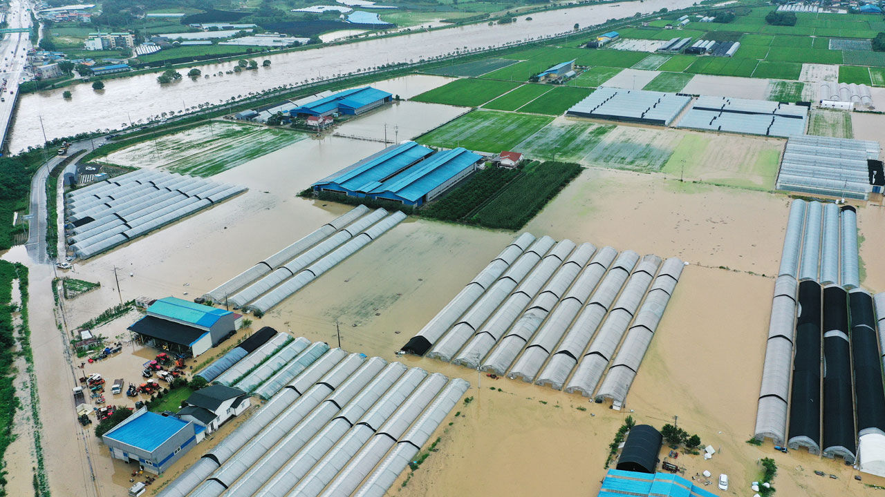 집중호우 이재민 818명으로 늘어…농경지 2천800㏊ 침수·매몰