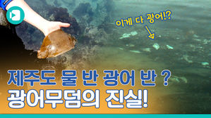 제주도에는 광어 무덤이 있다? 비머가 직접 가봄
