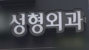 성형외과 의원 의사 10년간 1.8배, 피부과는 1.4배 증가