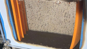 '인공 잎'보다 더 진화한 CO₂흡수 청정연료 생산 장치 개발