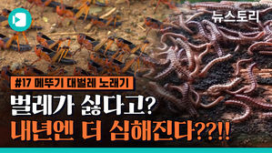[비머X뉴스토리] 벌레가 싫다고? 다 인간 때문에 생긴 일이야