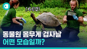 우당탕탕 런던 동물원 신체검사 날