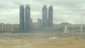 '하이선'에 부산 곳곳 쓰러지고 잠기고&hellip;"출근 어떻게" 문의 쇄도